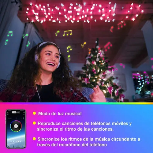 Luces Inteligentes Con App Para Navidad Envío Gratis